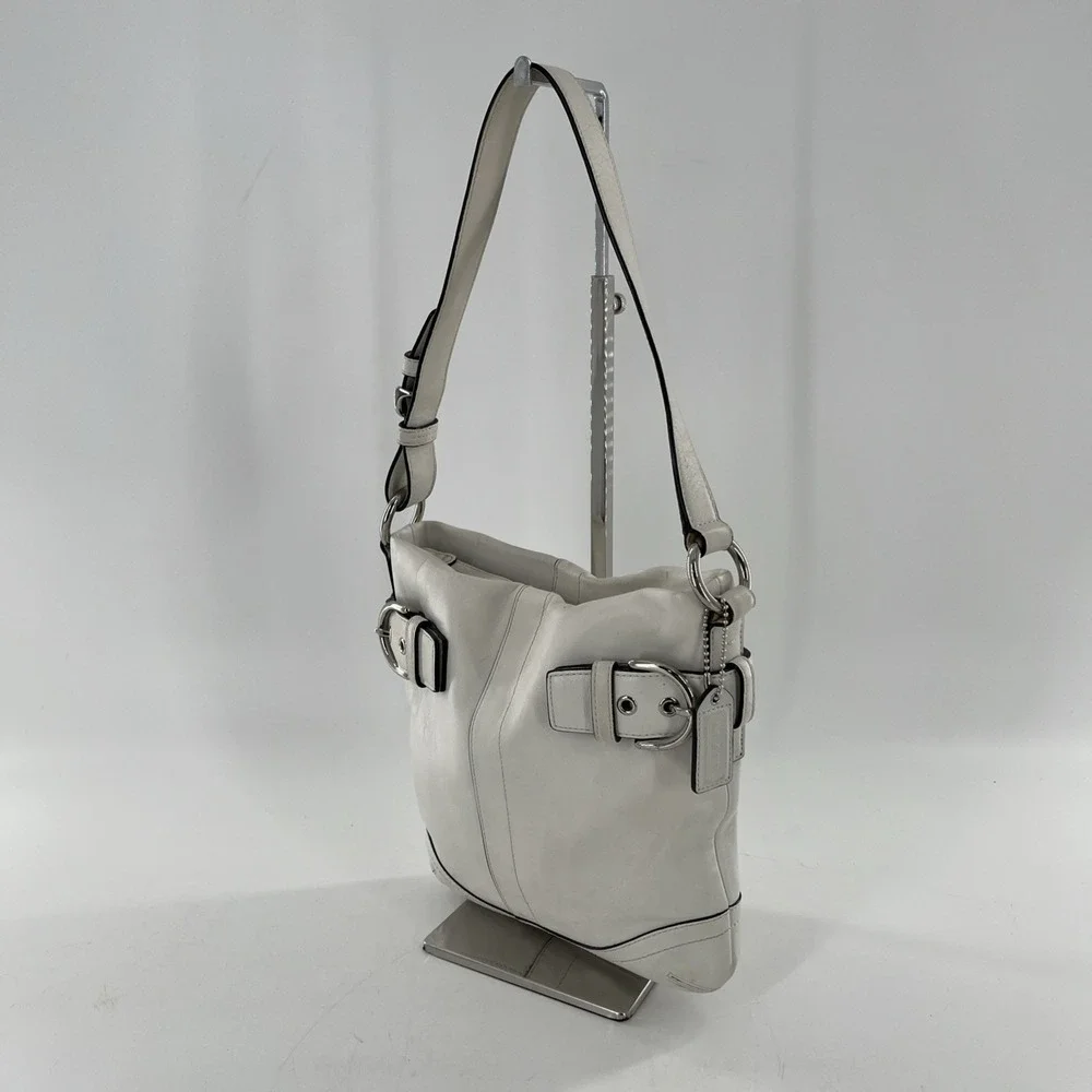 Coach handbag product